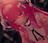 sakura1019