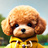 petdancer