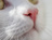 ねこだまり商店
