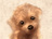 つばきばたけ