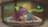 sslive2d