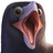 mugi-otuff2922