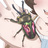 がんばる予定(舗)
