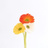 .Flower　