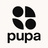 pupa