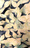 sui art collection
