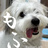 mofu moji 筆工房