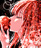 h-illustrator