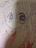 てんしの森