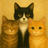 nekoshop-123
