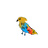 Birdpop