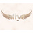 ailyu