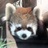 いわとりどり