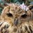 ふーどふぁくとりー