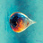 water-drop