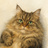 Kanu the Cat