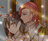 nicomaki419722