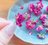 pressedflowerpic