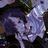 XEN