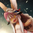 seamoss online