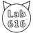 lab_616