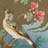 m0ckingbird