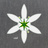 ekudoru-no-riri