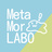 METAMOR_LABO