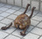 もんてーる
