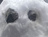 あまえびの牧場
