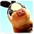 ふわふわハムスター