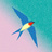 pupil-design