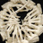 heelca　ossis【3D Data Store】