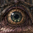 モンスターハウス