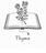 Thyme