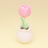 momo shop