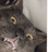 metametaco