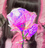 喫茶･薔薇園