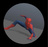 animscripts