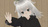 れむのぽけっと