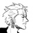 nonoroa zoro