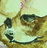 T.Norihitoの絵