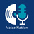 voice-nation