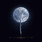 Nocturne Works