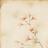 Sakura Atelier