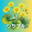 tsuwabukistore