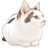 三毛猫