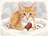 ねことまめ