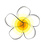plumeria-crown