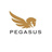 Pegasus Company